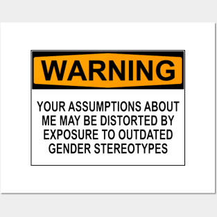 WARNING: YOUR ASSUMPTIONS ABOUT ME MAY BE DISTORTED BY EXPOSURE TO OUTDATED GENDER STEREOTYPES Posters and Art